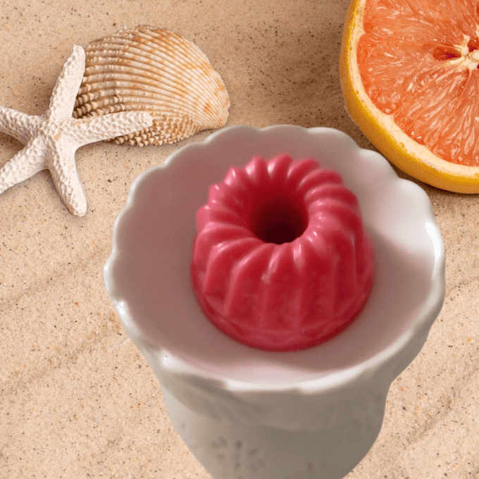 Fruit  Défendu    17g 