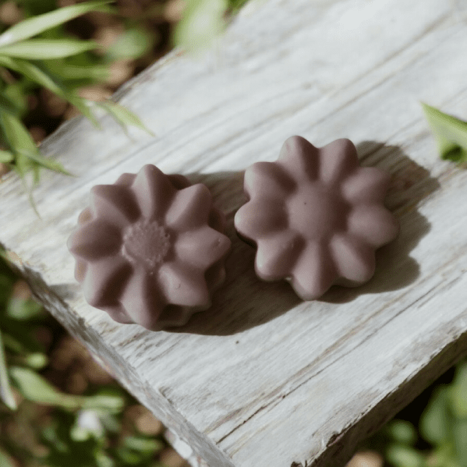 vanille cannelle ( sachet de 2) 17gr