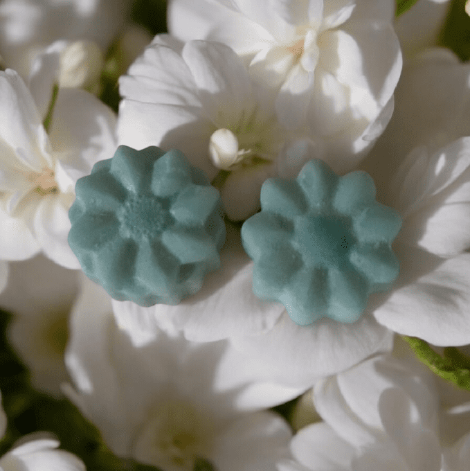 magnolia 17 gr ( sachet de 2)